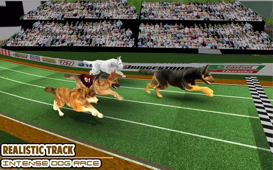 Dog racing games - dog game 3d स्क्रीनशॉट 1