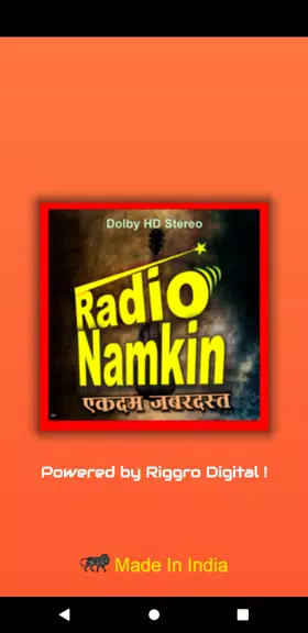 Radio Namkeen- FM Radio Online應用截圖第1張