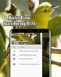 Suara Burung Sirtu Pikat MP3 Offline स्क्रीनशॉट 1