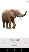 Learn French words with ST Captura de tela 3