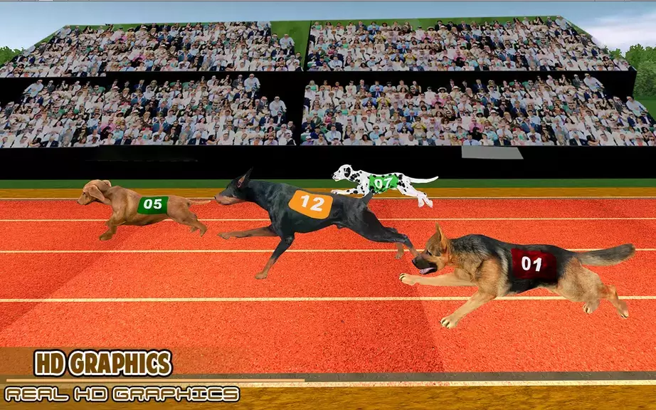 Dog racing games - dog game 3d स्क्रीनशॉट 3