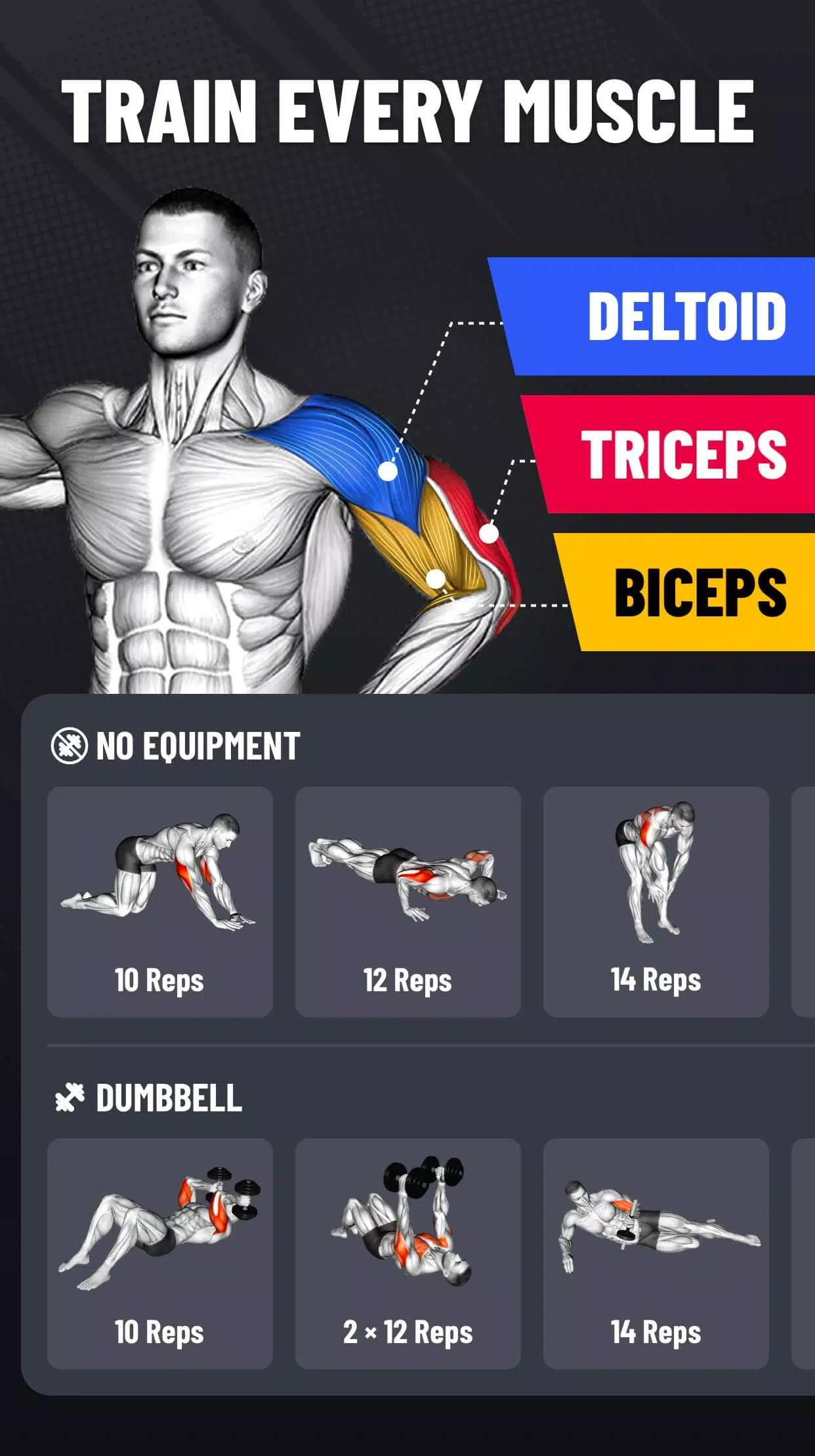 Arm Workout - Biceps Exercise Screenshot 2