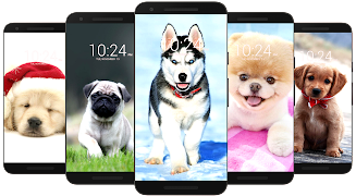 Dog Wallpaper HD应用截图第2张