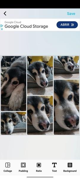 PicsMaster Photo Editor Pro应用截图第3张