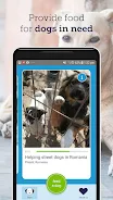 feed a dog: animal welfare Captura de pantalla 3