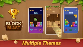 Block Puzzle - Wood Blast应用截图第4张