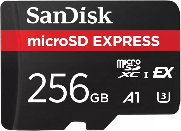 सैंडिस्क माइक्रोएसडी एक्सप्रेस 256GB