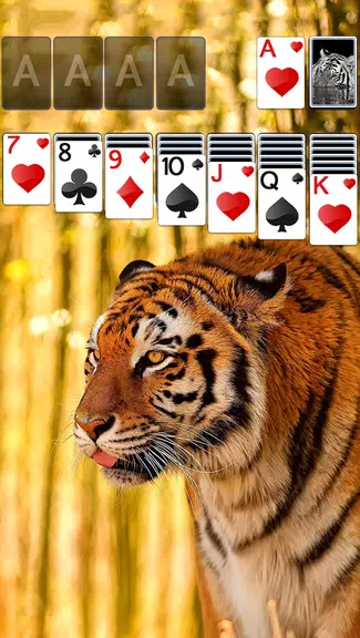 Solitaire Tiger Theme應用截圖第1張