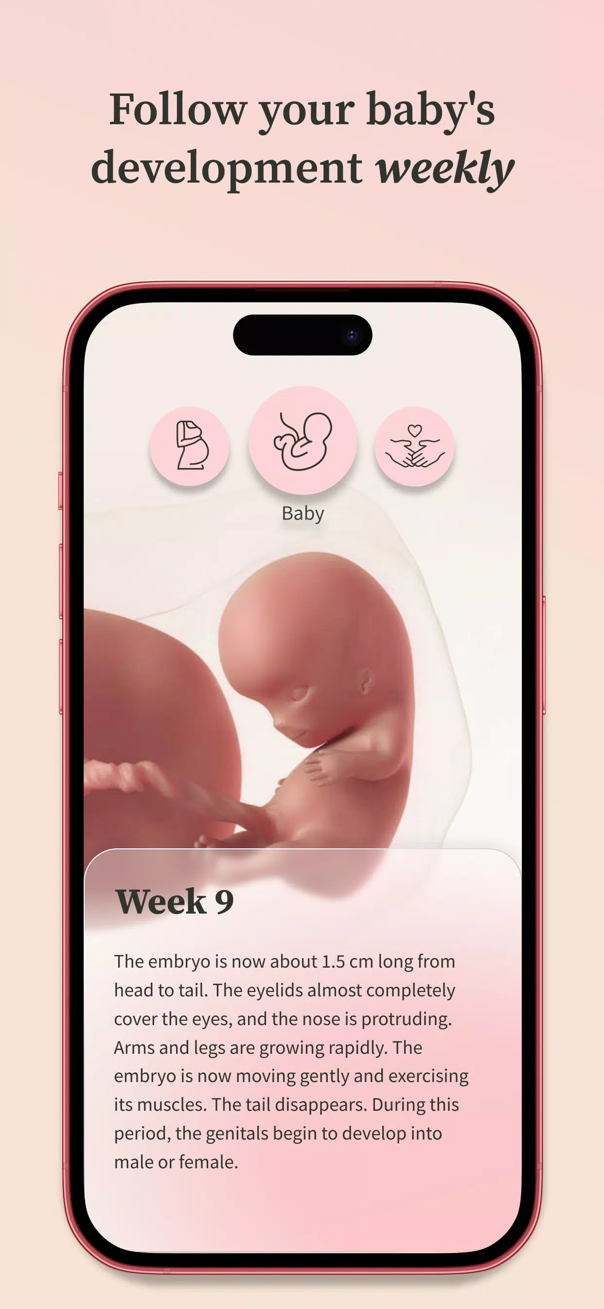 Preglife应用截图第3张