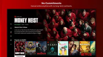 Netflix應用截圖第3張