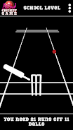 Blind Cricket Screenshot 3