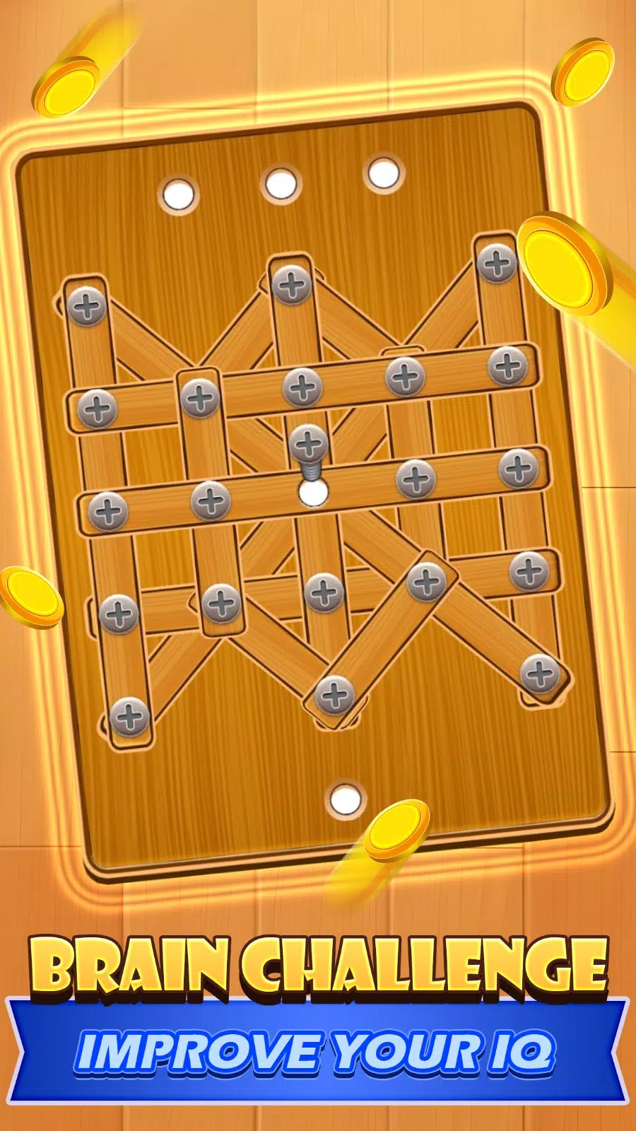 Screw Nuts & Bolt Puzzle Screenshot 3