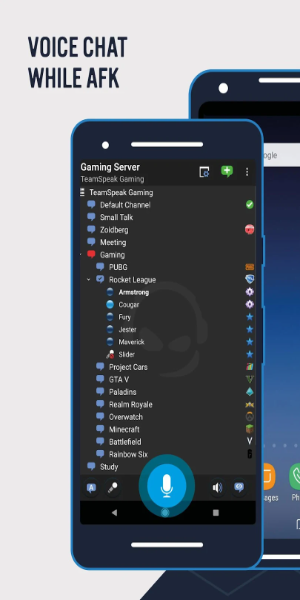 TeamSpeak 3 - Voice Chat Screenshot 1