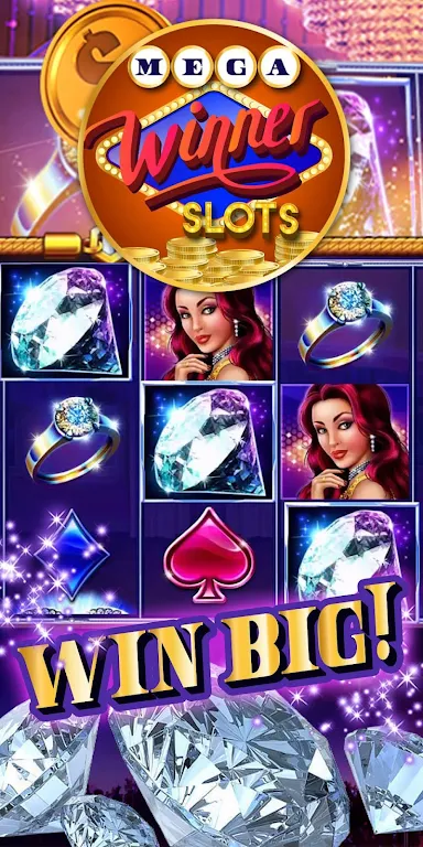 Mega Winner Slots Capture d'écran 3