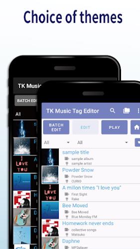 TK Music Tag Editor Capture d'écran 3