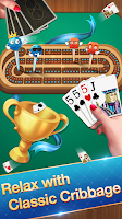 Cribbage - Card Game 스크린샷 2