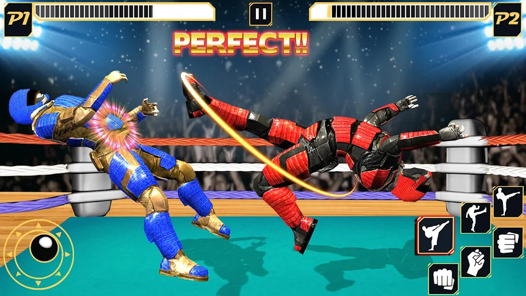 Real Robot Wrestling - Robot F應用截圖第2張