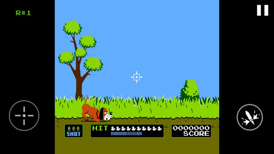 Duck Hunt स्क्रीनशॉट 4