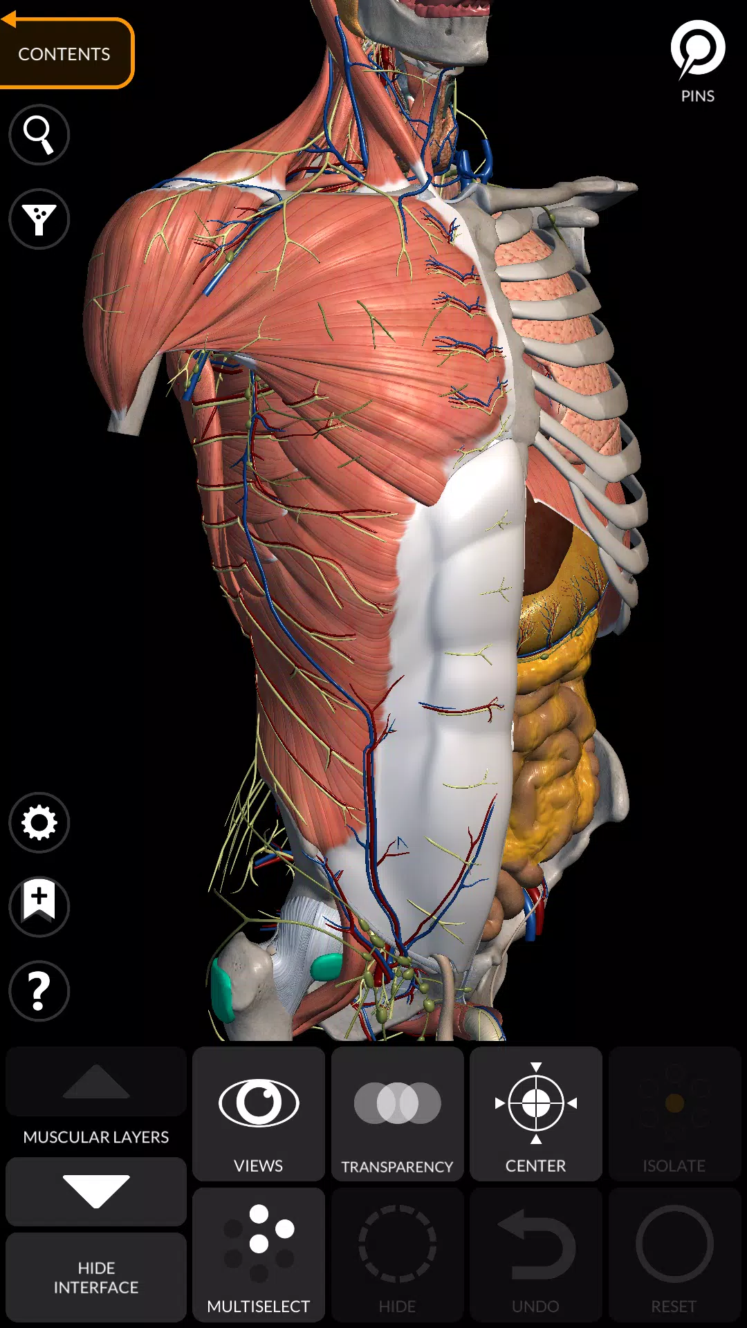 Anatomy 3D Atlas Captura de tela 1