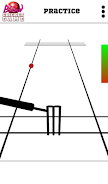 Blind Cricket Screenshot 2