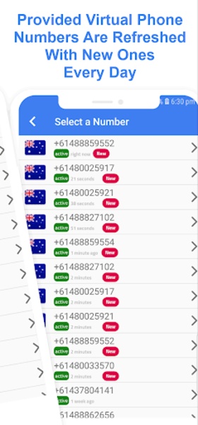 Temp Number - Virtual Number Capture d'écran 1