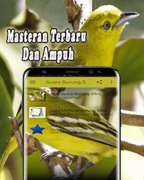 Suara Burung Sirtu Pikat MP3 Offline应用截图第2张