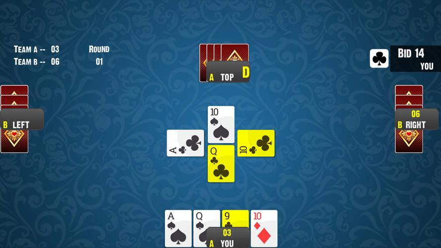 28 Card Game:Offline Card Game Captura de tela 3