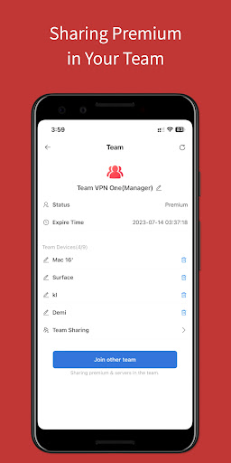 Team VPN應用截圖第3張