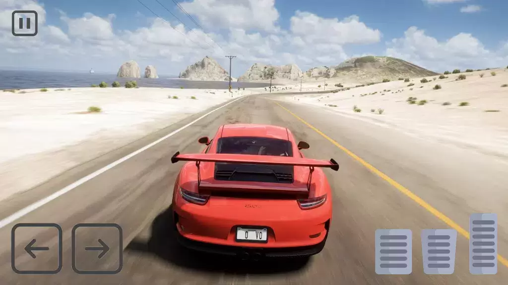 Racing Porsche Carrera 911 GT3 Capture d'écran 2