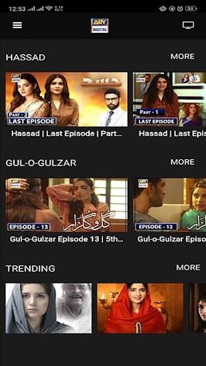 ARY DIGITAL Screenshot 4