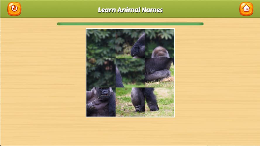Learn Animal Names Captura de pantalla 4