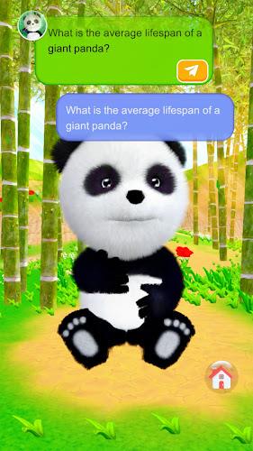 Talking Panda Screenshot 2