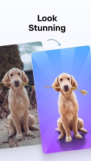 Photoroom Studio Photo Editor Captura de pantalla 1