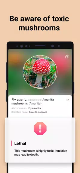 Picture Mushroom - Mushroom ID Screenshot 3