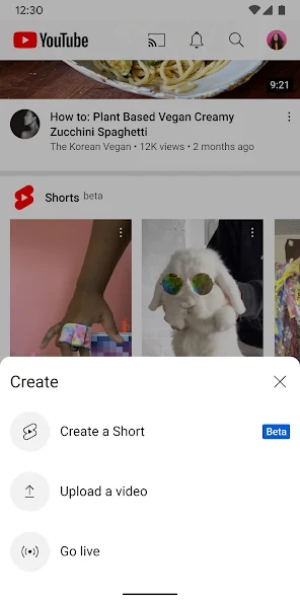 YouTube ReVanced Mod スクリーンショット 1