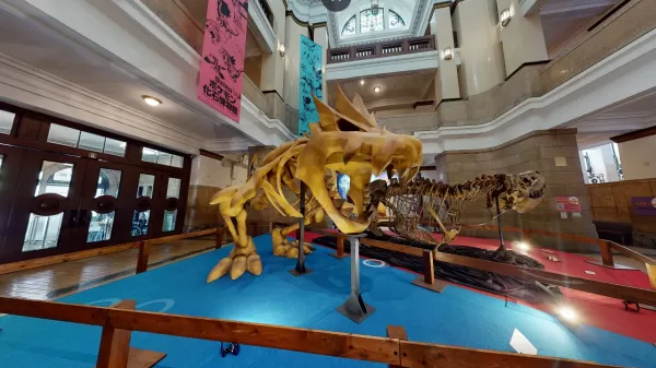 Pokémon Fossil Museum, um im nächsten Jahr echte und falsche Fossilien in den USA zu zeigen