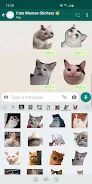 Cat Memes Stickers WASticker Screenshot 1