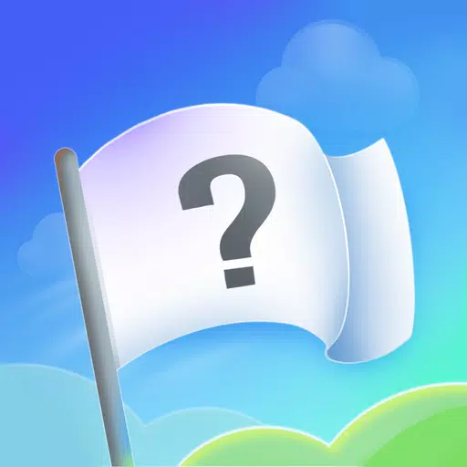 Flag Guess 3D