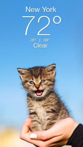 Weather Kitty - App & Widget Capture d'écran 1