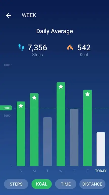 Schrittzähler - Pedometer Screenshot 3