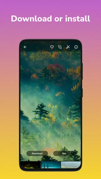 Wallpapers 4K, HD Backgrounds應用截圖第4張