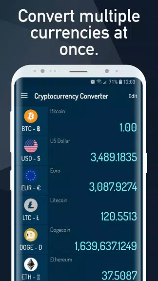 Cryptocurrency Rate Converter Screenshot 3