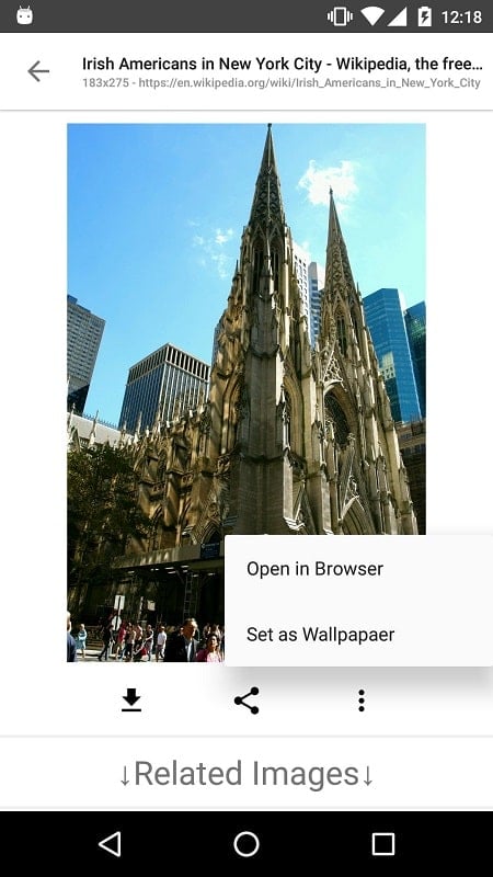 Image Search – ImageSearchMan Captura de pantalla 3