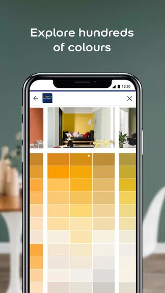 Dulux Visualizer PK Capture d'écran 2