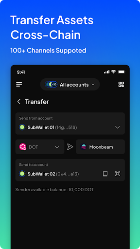 SubWallet Captura de tela 3