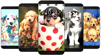 Dog Wallpaper HD Screenshot 4