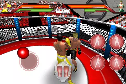 Virtual Boxing スクリーンショット 1