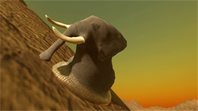 Elephantidae Gastropod Mollusc Screenshot 3