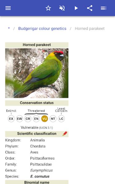 Parrots स्क्रीनशॉट 3