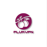 Plum VPN - Safest Internet